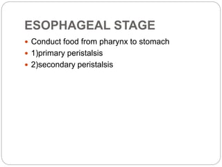 ESOPHAGEAL STAGE
 Conduct food from pharynx to stomach
 1)primary peristalsis
 2)secondary peristalsis
 