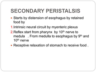 SECONDARY PERISTALSIS
 Starts by distension of esophagus by retained
food by
1.Intrinsic neural circuit by myenteric plexus
2.Reflex start from pharynx by 10th nerve to
medula . From medulla to esophagus by 9th and
10th nerve
 Receptive relaxation of stomach to receive food .
 