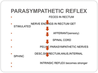 PARASYMPATHETIC REFLEX
 FECES IN RECTUM
 NERVE ENDINGS IN RECTUM GET
STIMULATED
 AFFERANT(sensory)
 SPINAL CORD
 PELVIC PARASYMPATHETIC NERVES
 DESC,SIG,RECTUM,ANUS,INTERNAL
SPHINC
 INTRINSIC REFLEX becomes stronger

 