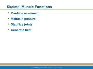 Copyright © 2009 Pearson Education, Inc., publishing as Benjamin Cummings
Skeletal Muscle Functions
 Produce movement
 Maintain posture
 Stabilize joints
 Generate heat
 