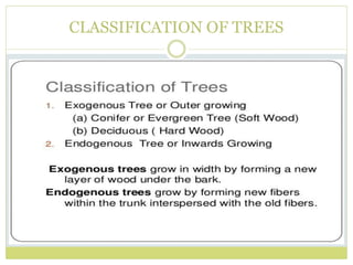 CLASSIFICATION OF TREES
 