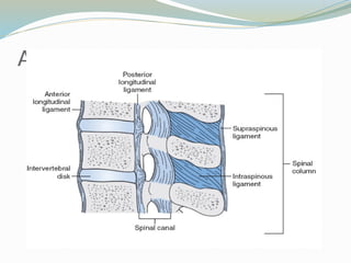 Chapter # 6: Cervical Spine Injuries in Athletes. Emergency Care And ...