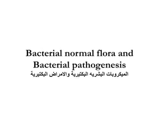 Bacterial normal flora and
Bacterial pathogenesis
‫الميكروبات‬
‫البشريه‬
‫البكتيرية‬
‫واالمراض‬
‫البكتيرية‬
 