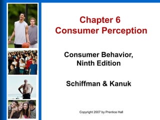 In the Eyes of Consumers: Perceptions and Attitudes towards Louis