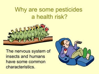Health Risks From Insects Pesticides and their effects on human health.ppt