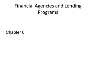 Financial Agencies and Lending
               Programs


Chapter 6




1
 