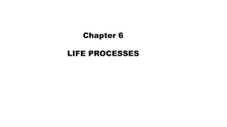 Ch 6 life processes | PDF