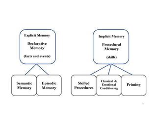 TYPES OF LONG TERM MEMORY
3
 