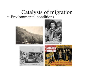 Catalysts of migration Environmental conditions 