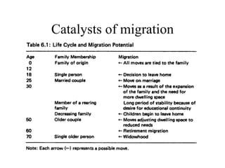 Catalysts of migration 