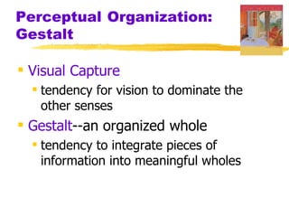 Perceptual Organization:
Gestalt

 Visual Capture
   tendency for vision to dominate the
    other senses
 Gestalt--an organized whole
   tendency to integrate pieces of
    information into meaningful wholes
 