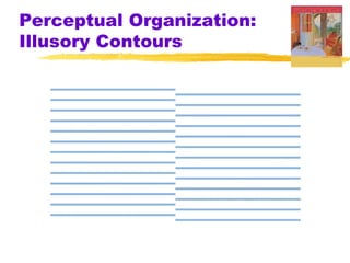 Perceptual Organization:
Illusory Contours
 