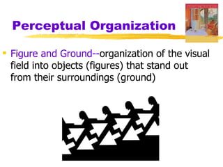 Perceptual Organization

 Figure and Ground--organization of the visual
  field into objects (figures) that stand out
  from their surroundings (ground)
 