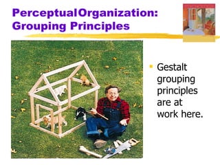 PerceptualOrganization:
Grouping Principles


                      Gestalt
                       grouping
                       principles
                       are at
                       work here.
 