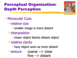 Perceptual Organization:
Depth Perception

 Monocular Cues
   relative size
     smaller image is more distant
   interposition
     closer object blocks distant object
   relative clarity
     hazy object seen as more distant
   texture     coarse --> close
                fine --> distant
 