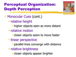 Perceptual Organization:
Depth Perception
 Monocular Cues (cont.)
   relative height
     higher objects seen as more distant
   relative motion
     closer objects seem to move faster
   linear perspective
     parallel lines converge with distance
   relative brightness
     closer objects appear brighter
 