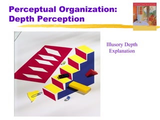 Perceptual Organization:
Depth Perception


                     Illusory Depth
                       Explanation
 