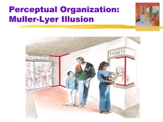 Perceptual Organization:
Muller-Lyer Illusion
 