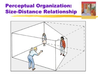 Perceptual Organization:
Size-Distance Relationship
 