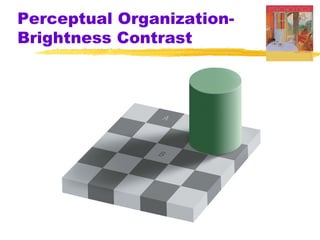 Perceptual Organization-
Brightness Contrast
 