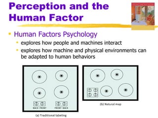Perception and the
Human Factor
 Human Factors Psychology
   explores how people and machines interact
   explores how machine and physical environments can
    be adapted to human behaviors
 