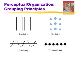 PerceptualOrganization:
Grouping Principles
 