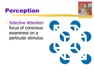 Perception
 Selective Attention
  focus of conscious
  awareness on a
  particular stimulus
 