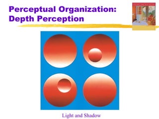 Perceptual Organization:
Depth Perception




           Light and Shadow
 