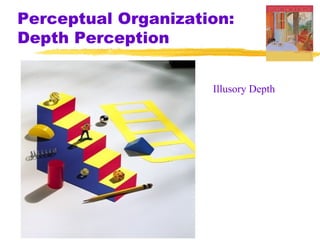 Perceptual Organization:
Depth Perception


                     Illusory Depth
 