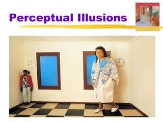 Perceptual Illusions
 