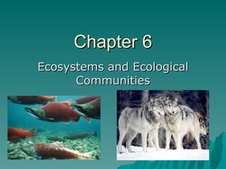 Chapter 6 Ecosystems and Ecological Communities 