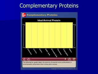 Complementary Proteins 