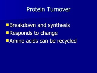 Protein Turnover Breakdown and synthesis Responds to change Amino acids can be recycled 