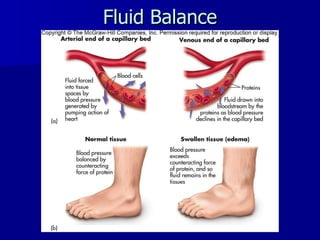 Fluid Balance 