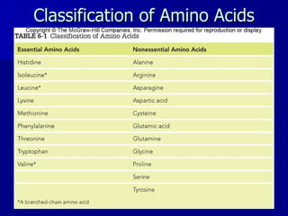 Classification of Amino Acids 