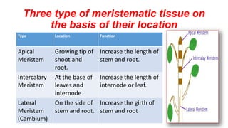 Three type of meristematic tissue on
the basis of their location
Type Location Function
Apical
Meristem
Growing tip of
shoot and
root.
Increase the length of
stem and root.
Intercalary
Meristem
At the base of
leaves and
internode
Increase the length of
internode or leaf.
Lateral
Meristem
(Cambium)
On the side of
stem and root.
Increase the girth of
stem and root
 