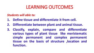 LEARNING OUTCOMES
Students will able to:
1. Define tissue and differentiate it from cell.
2. Differentiate between plant and animal tissue.
3. Classify, explain, compare and differentiate
various types of plant tissue like meristematic
simple permanent and complex permanent
tissue on the basis of structure ,location and
function.
 