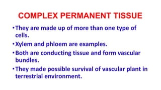 COMPLEX PERMANENT TISSUE
•They are made up of more than one type of
cells.
•Xylem and phloem are examples.
•Both are conducting tissue and form vascular
bundles.
•They made possible survival of vascular plant in
terrestrial environment.
 