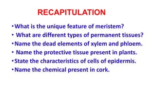 RECAPITULATION
•What is the unique feature of meristem?
• What are different types of permanent tissues?
•Name the dead elements of xylem and phloem.
• Name the protective tissue present in plants.
•State the characteristics of cells of epidermis.
•Name the chemical present in cork.
 