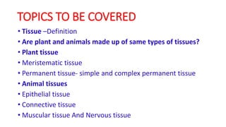 TOPICS TO BE COVERED
• Tissue –Definition
• Are plant and animals made up of same types of tissues?
• Plant tissue
• Meristematic tissue
• Permanent tissue- simple and complex permanent tissue
• Animal tissues
• Epithelial tissue
• Connective tissue
• Muscular tissue And Nervous tissue
 