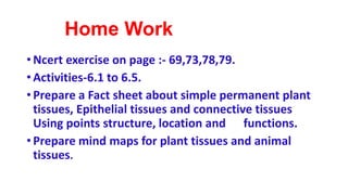 Home Work
• Ncert exercise on page :- 69,73,78,79.
• Activities-6.1 to 6.5.
• Prepare a Fact sheet about simple permanent plant
tissues, Epithelial tissues and connective tissues
Using points structure, location and functions.
• Prepare mind maps for plant tissues and animal
tissues.
 