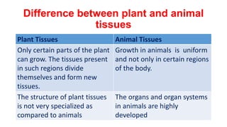 Difference between plant and animal
tissues
Plant Tissues Animal Tissues
Only certain parts of the plant
can grow. The tissues present
in such regions divide
themselves and form new
tissues.
Growth in animals is uniform
and not only in certain regions
of the body.
The structure of plant tissues
is not very specialized as
compared to animals
The organs and organ systems
in animals are highly
developed
 