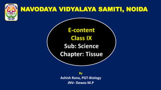 NAVODAYA VIDYALAYA SAMITI, NOIDA
By
Ashish Rana, PGT-Biology
JNV- Dewas M.P
E-content
Class IX
Sub: Science
Chapter: Tissue
 