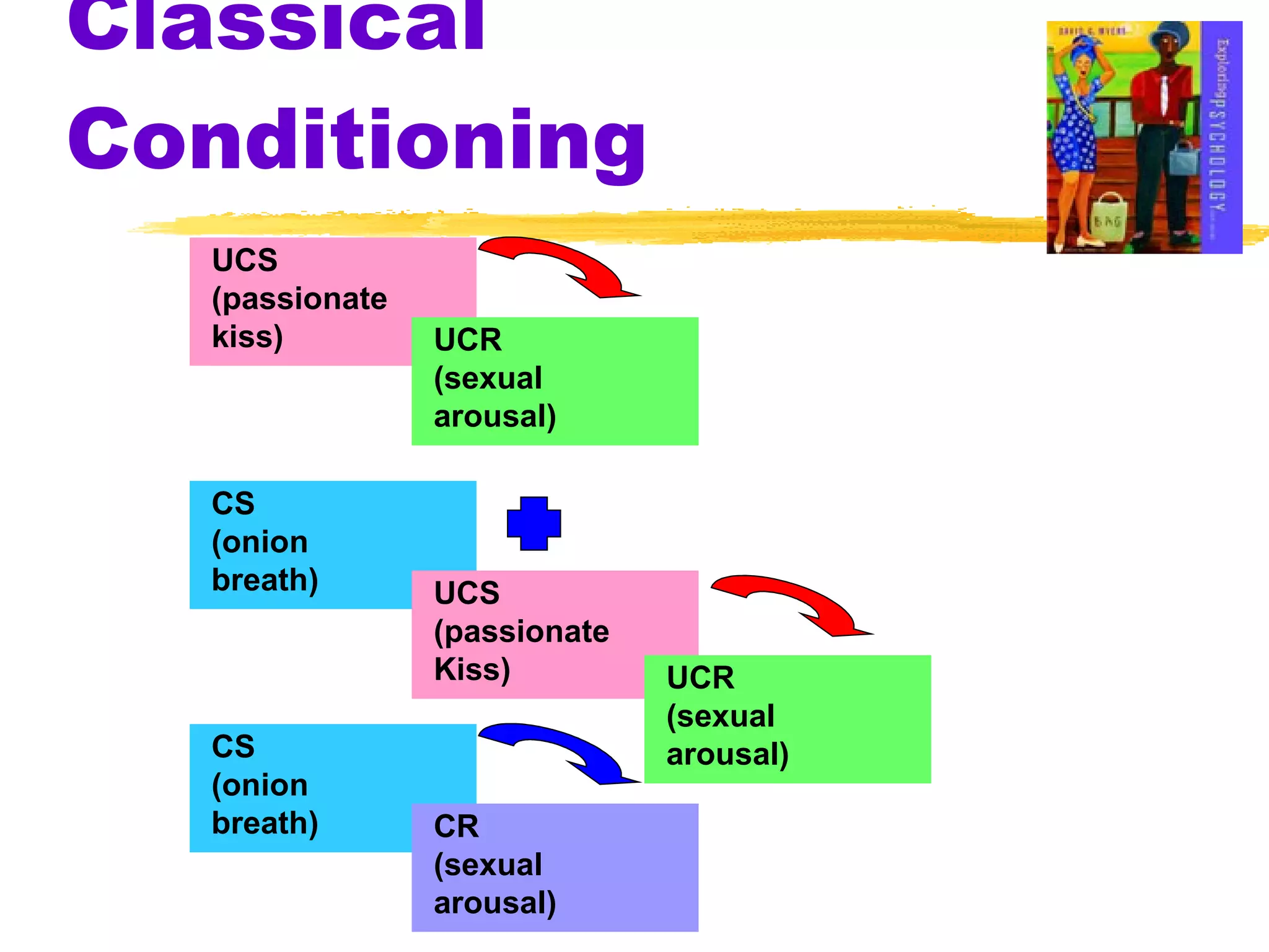 Classical Conditioning UCS (passionate  kiss) UCR (sexual arousal) CS (onion breath) CS (onion  breath) CR (sexual arousal) UCS (passionate  Kiss) UCR (sexual arousal) 