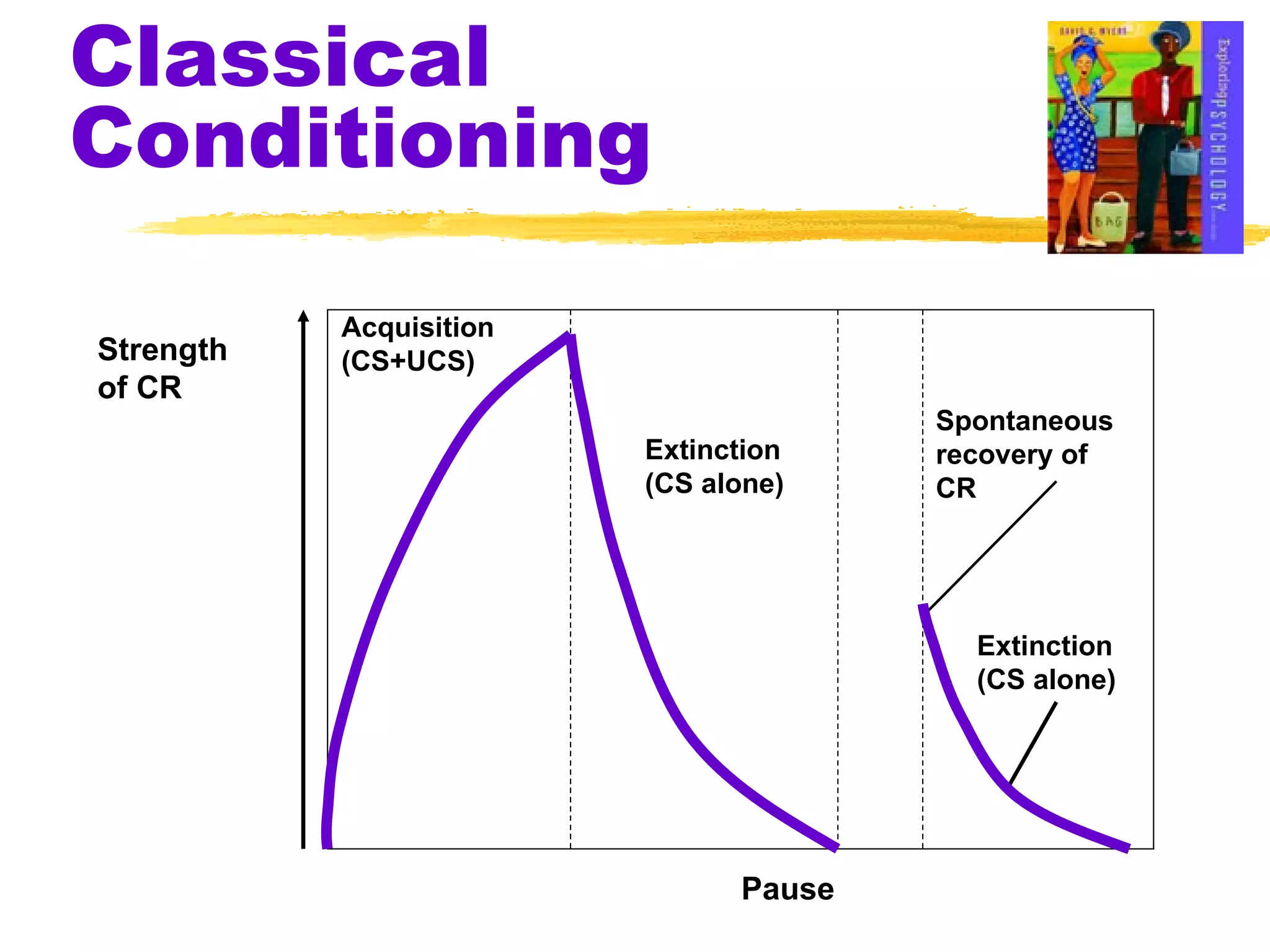 Classical Conditioning Strength of CR Pause Acquisition (CS+UCS) Extinction (CS alone) Extinction (CS alone) Spontaneous recovery of CR 