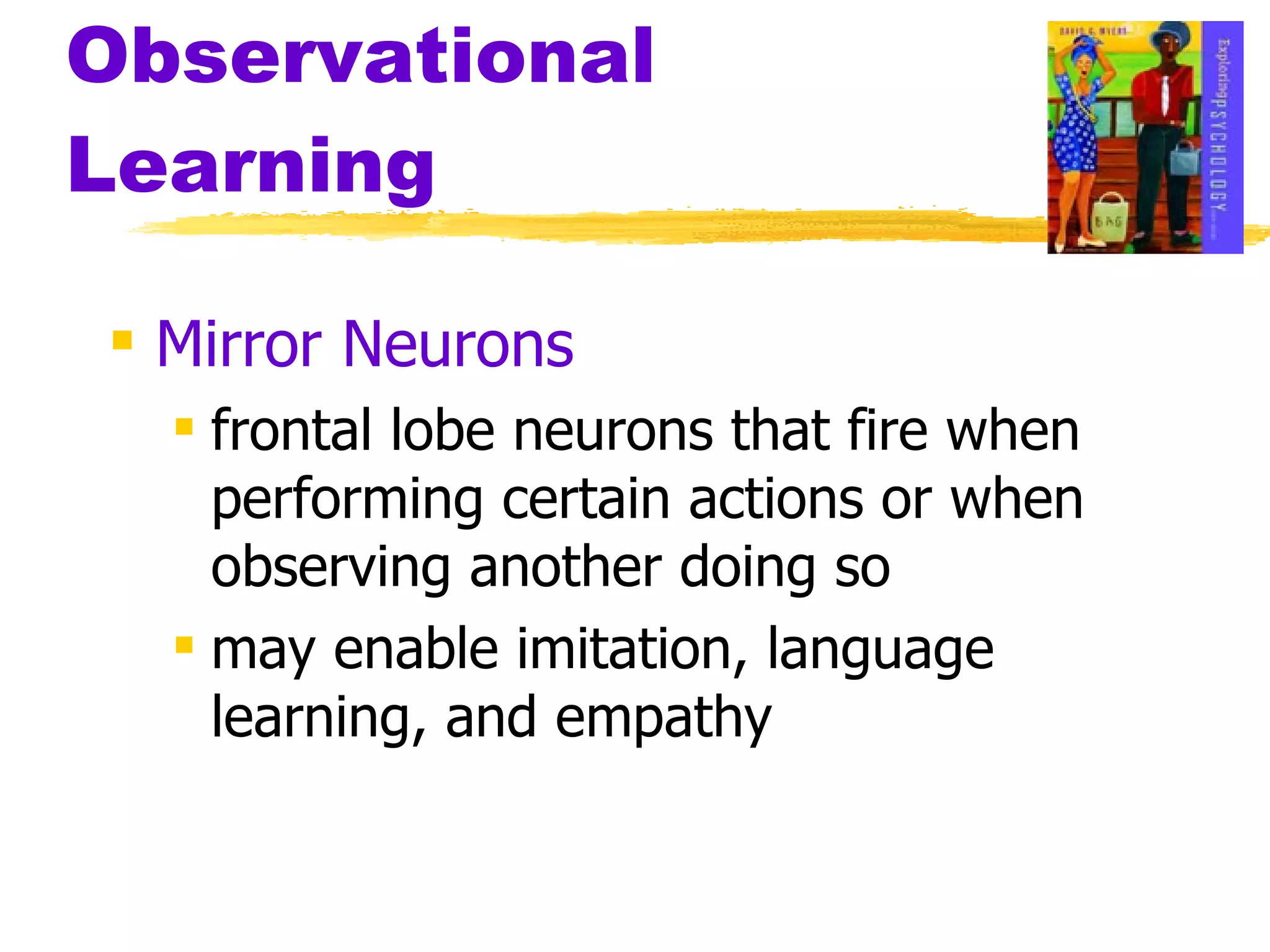 Observational Learning Mirror Neurons frontal lobe neurons that fire when performing certain actions or when observing another doing so may enable imitation, language learning, and empathy 