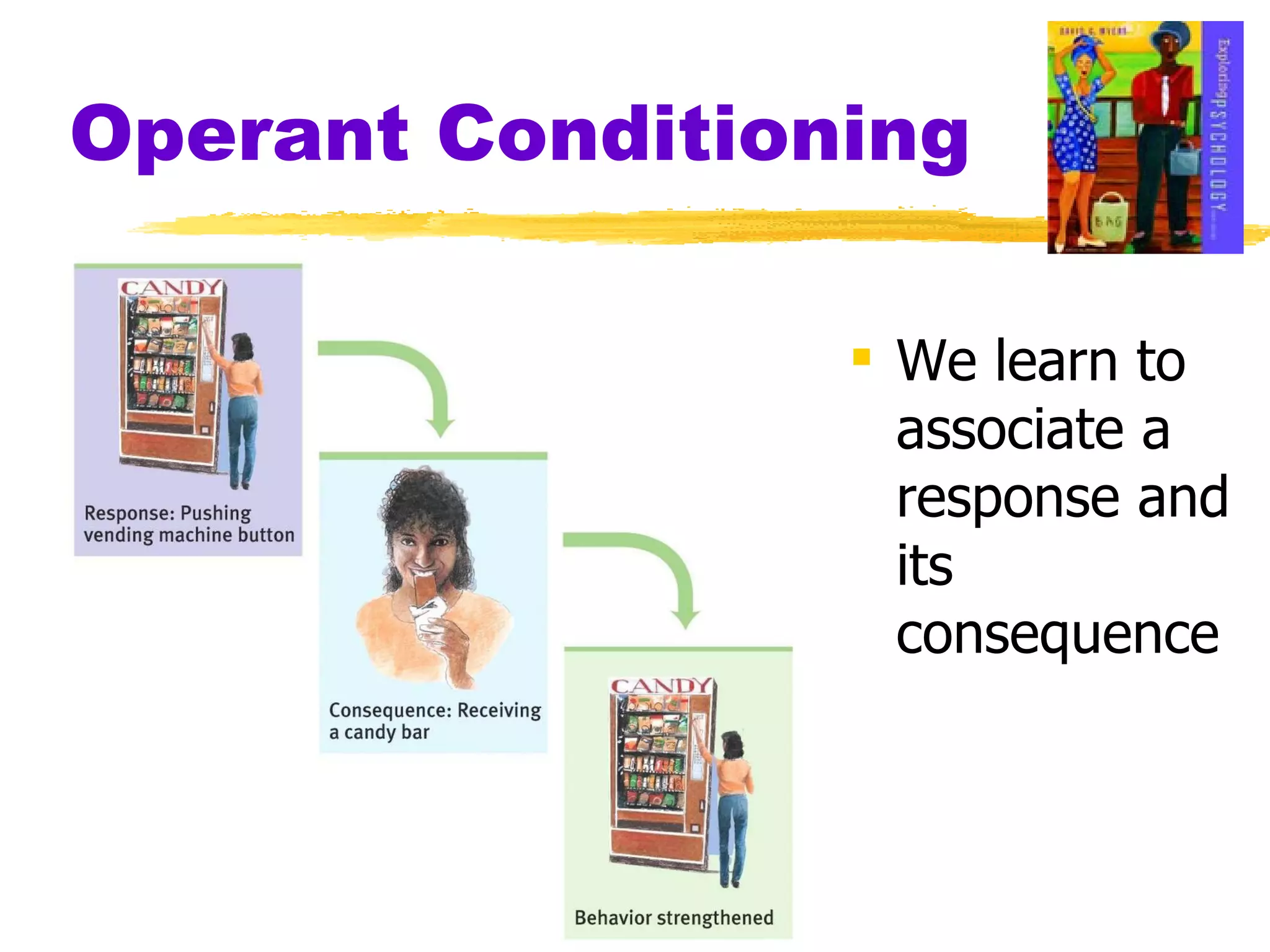 Operant Conditioning We learn to associate a response and its consequence 