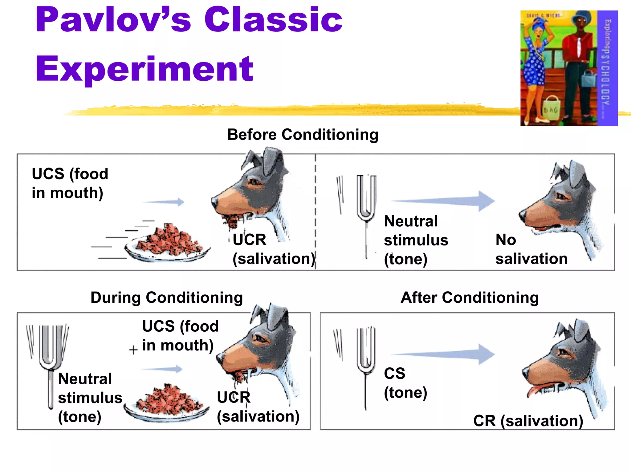 Pavlov’s Classic Experiment Before Conditioning During Conditioning After Conditioning UCS (food in mouth) Neutral stimulus (tone) No salivation UCR  (salivation) Neutral stimulus (tone) UCS (food in mouth) UCR (salivation) CS (tone) CR (salivation) 