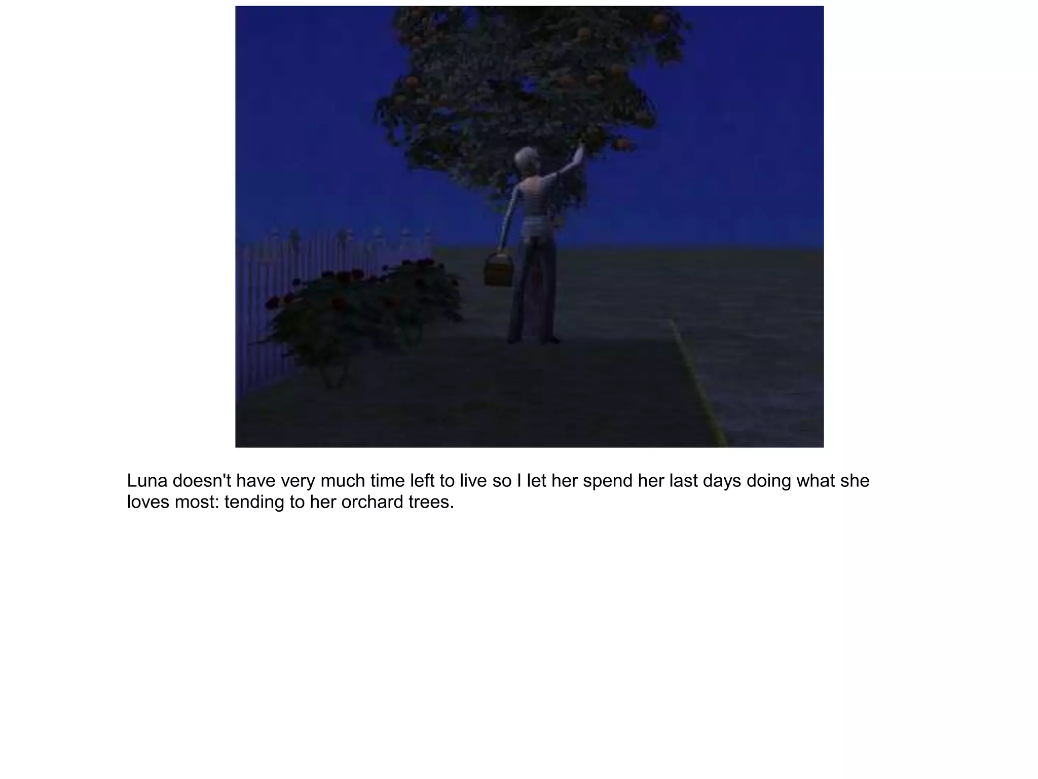 Luna doesn't have very much time left to live so I let her spend her last days doing what she
loves most: tending to her orchard trees.
 