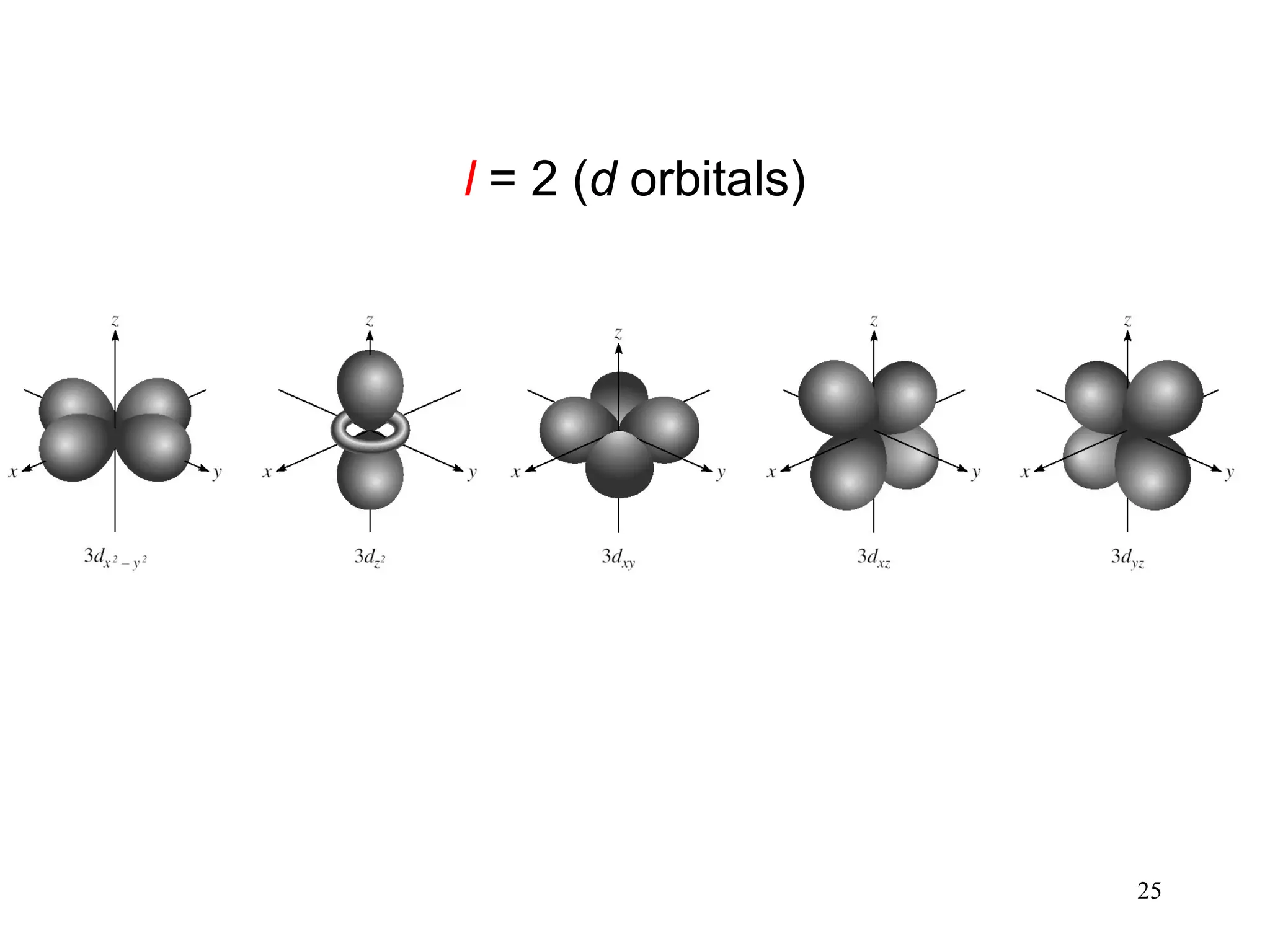 25
l = 2 (d orbitals)
 